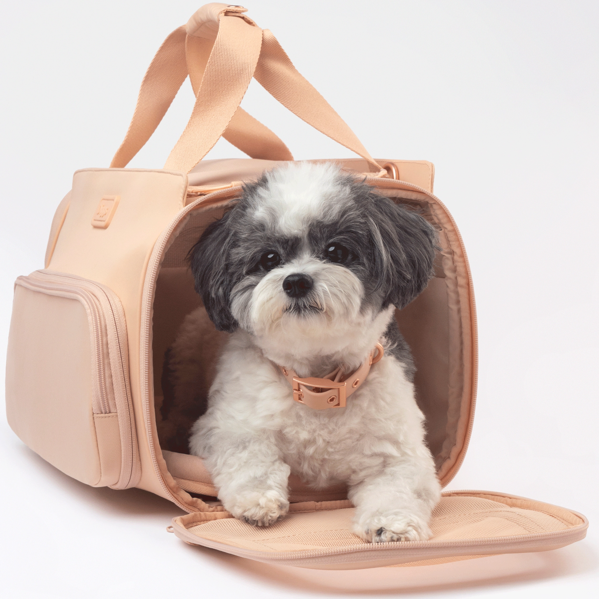 Diggs Passenger Travel Carrier Blush Dog Travel