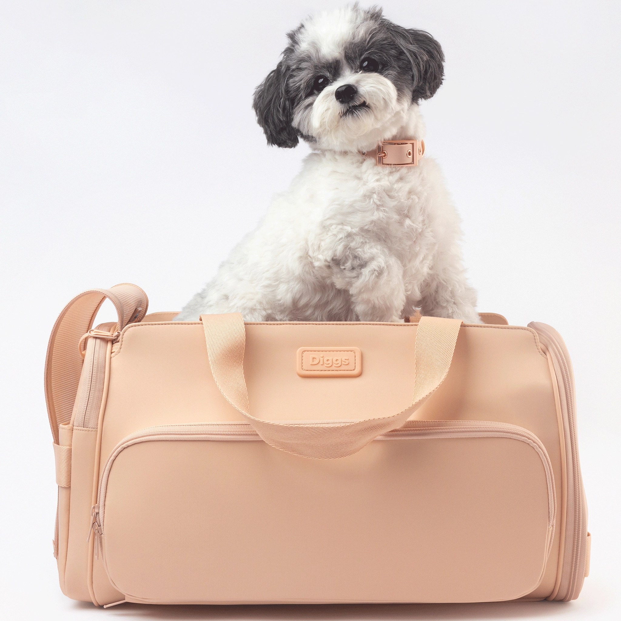 Diggs Passenger Travel Carrier Blush Dog Travel
