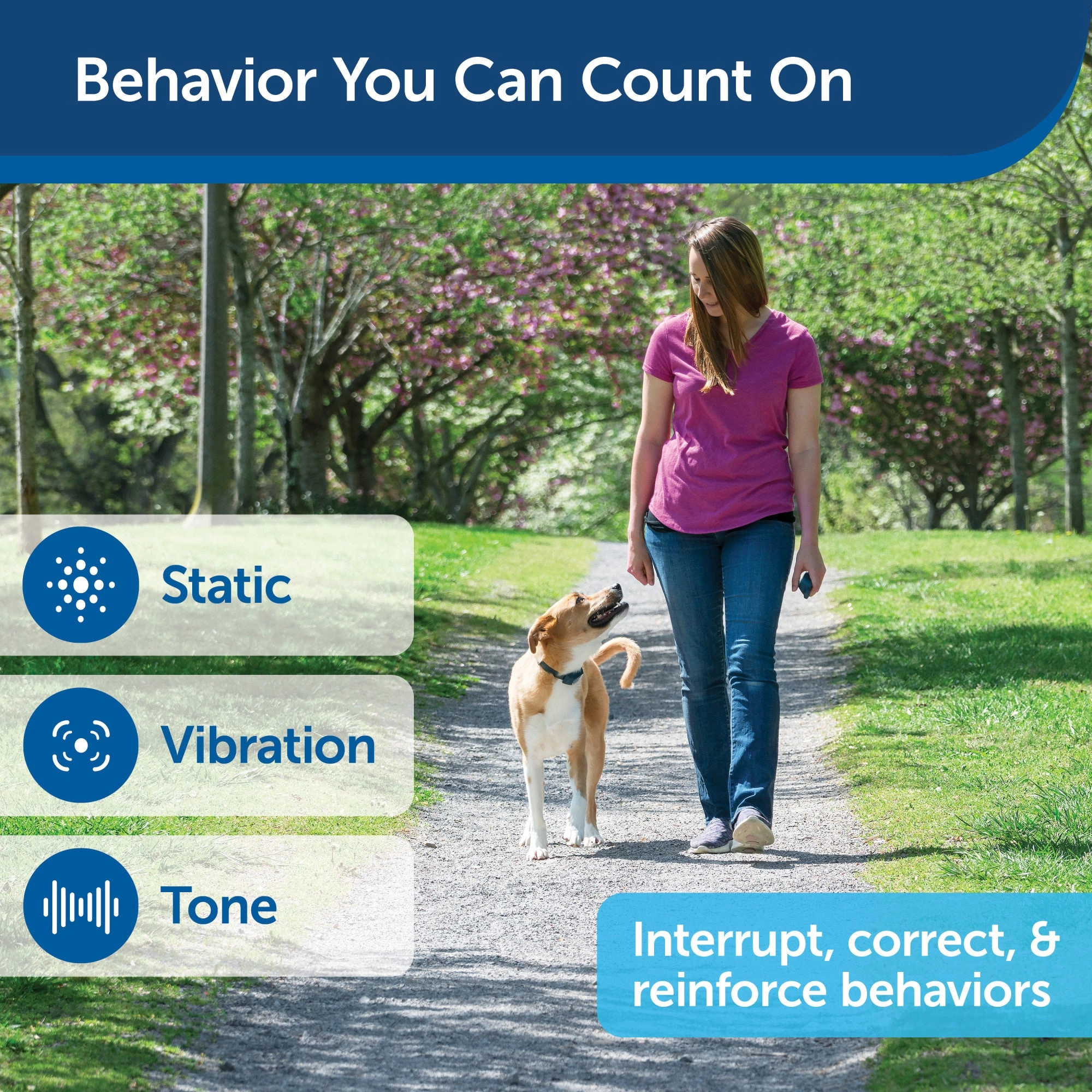 PetSafe Remote Trainer Dog Training Collar - 3 Training Modes: Tone, Vibration, 15 Levels of Static Stimulation, Standard for Dogs over 8lb  - Waterproof, Durable, Rechargeable - 100 Yards (300 Feet)