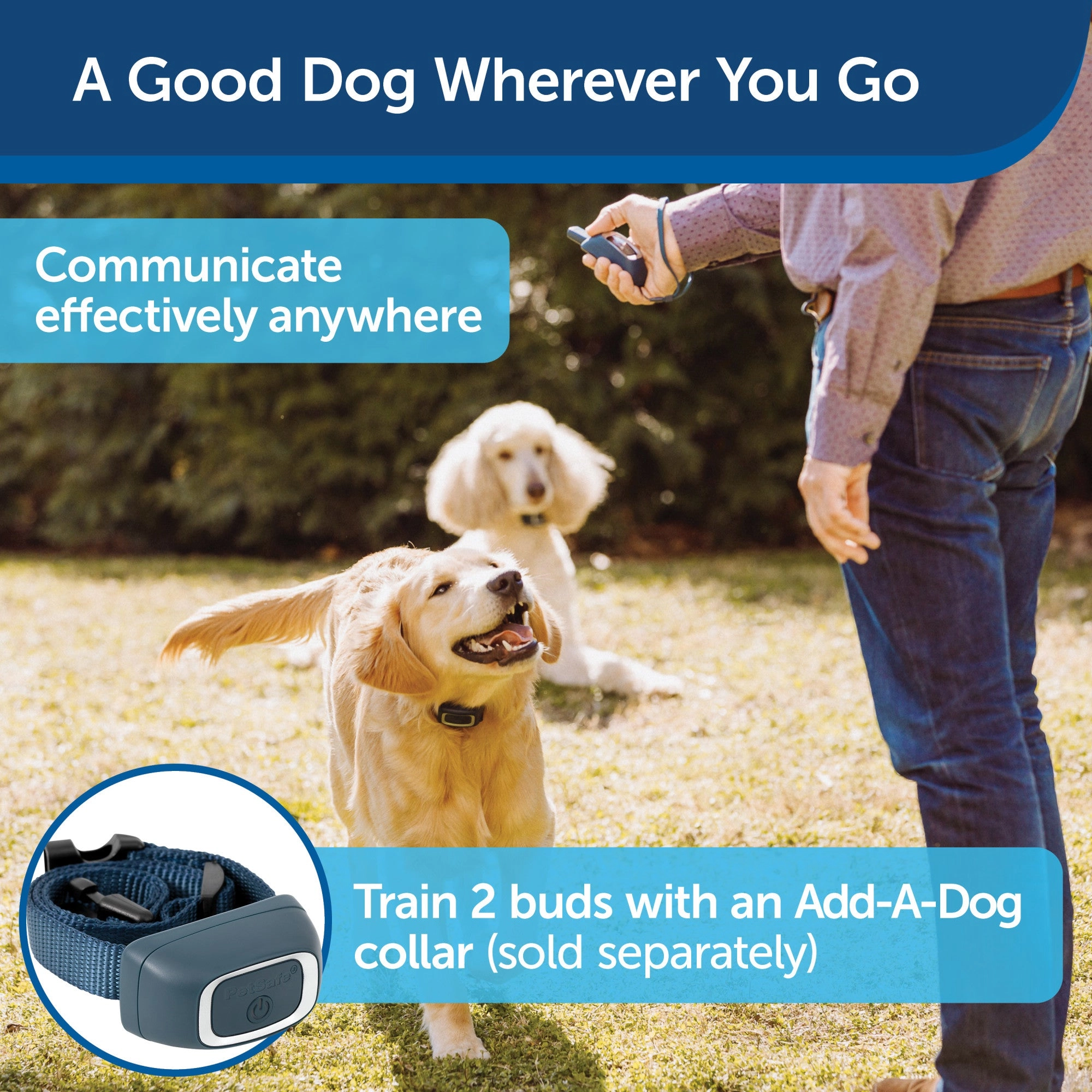 PetSafe Remote Trainer Dog Training Collar - 3 Training Modes: Tone, Vibration, 15 Levels of Static Stimulation, Standard for Dogs over 8lb  - Waterproof, Durable, Rechargeable - 100 Yards (300 Feet)